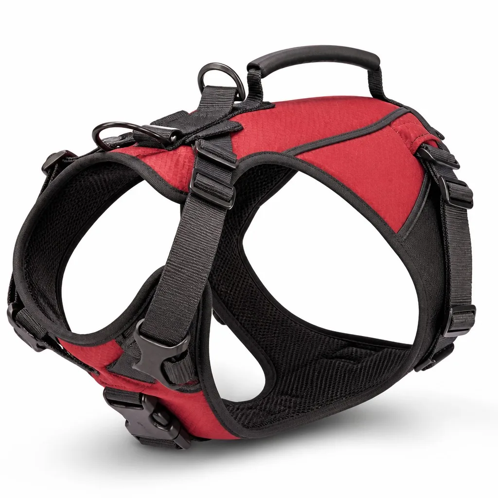 Custom Adjustable Trail Running Dog Harness