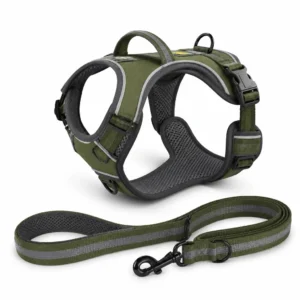 Custom With Leash Trail Running Dog Harness