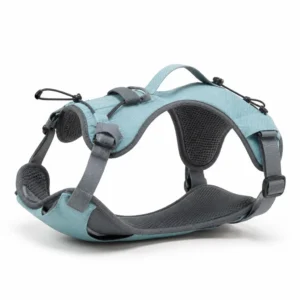 Custom Light Trail Running Dog Harness