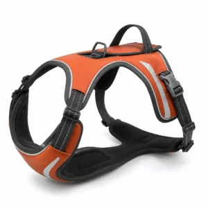 Custom Reflective Trail Running Dog Harness