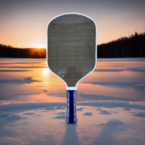 Pro Series Professional Graphite Pickleball Paddle – Premium Manufacturing